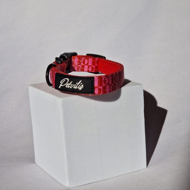 Collar Pink Paws