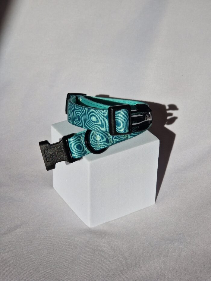 20250827_173452 20250827_173452