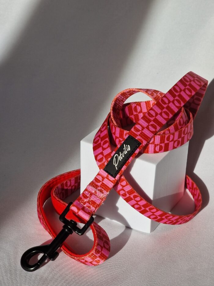 20250827_175208 20250827_175208