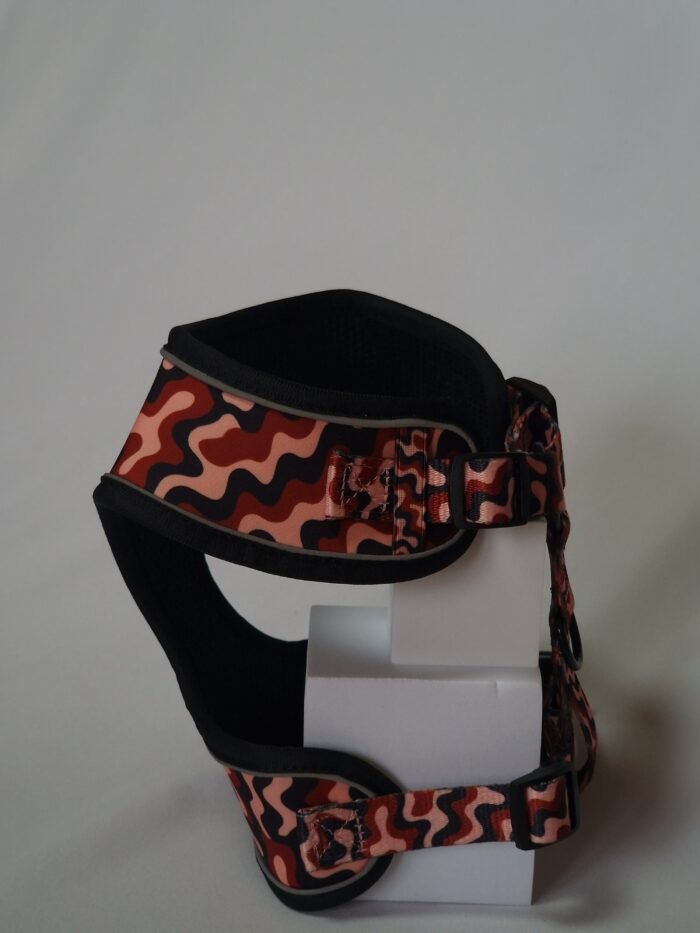 20250828_162459 20250828_162459