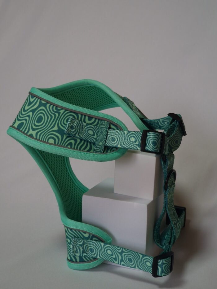 20250828_162559 20250828_162559