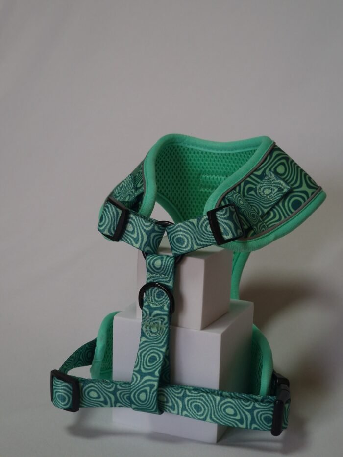 20250828_162613 20250828_162613